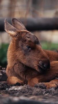 Спокойной ночи, Мариуполь!
