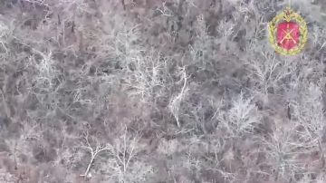 Под ударами: группа украинской пехоты попала в жесткий замес на окраине Северска в ДНР