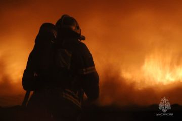 За минувшие сутки в ДНР ликвидировано 9 пожаров — ГУ МЧС России по Республике