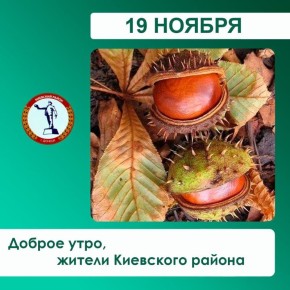 Валентин Левченко: По информации диспетчерской службы Киевского РЭС 19.11.2025г., в связи с обрезкой деревьев, планируется отключение электроэнергии следующим абонентам: