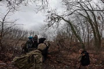 Ангелы-хранители в брониках