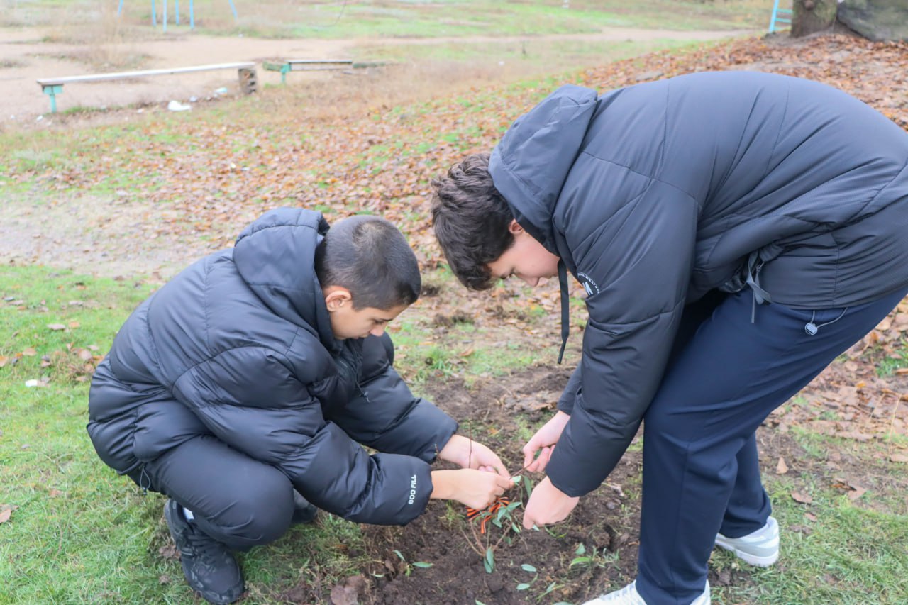 В Донецком лицее появился свой Сад Памяти В Донецком лицее появился свой Сад Памяти