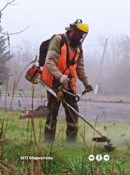 В Мариуполе коммунальщики благоустроили зеленые зоны во всех районах города