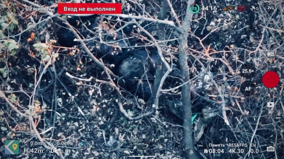 Земля на Покровском направлении отравлена трупными ядами ВСУ Земля на Покровском направлении отравлена трупными ядами ВСУ