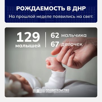 Вице-премьер Лариса Толстыкина сообщила о рождаемости в ДНР