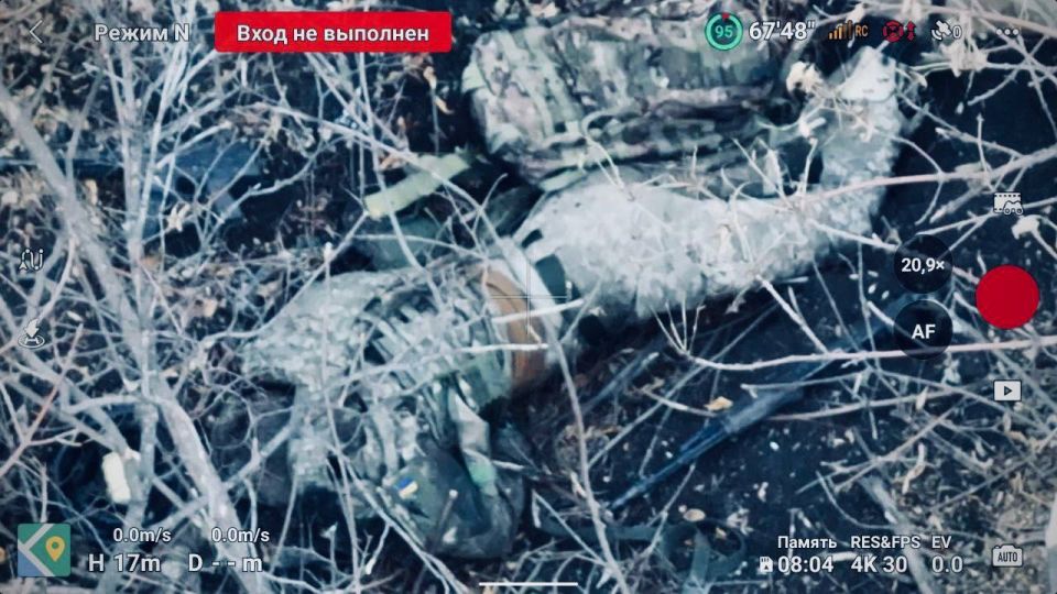 Земля на Покровском направлении отравлена трупными ядами ВСУ Земля на Покровском направлении отравлена трупными ядами ВСУ