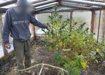 Вчерашний рекорд по хранению запрещёнки в Харцызске побит