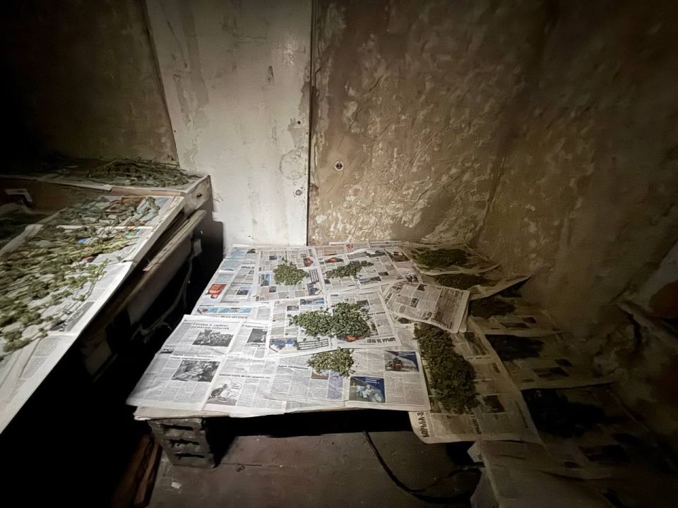 Вчерашний рекорд по хранению запрещёнки в Харцызске побит Вчерашний рекорд по хранению запрещёнки в Харцызске побит