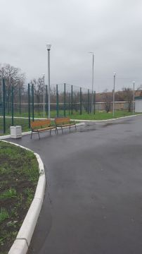 Денис Пушилин: Контроль поручений — принял работу минобра ДНР по итогам Прямого эфира