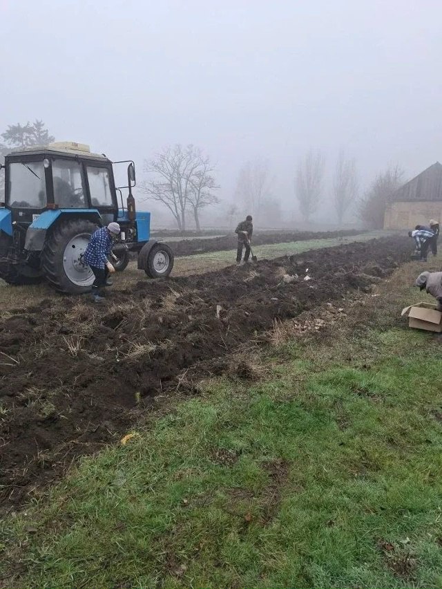 По инициативе ТОС "КЛЕНОВОЕ" под руководством Соловей Л.А., членов Партии "Единая Россия", жители п. Кленовка организовали высадку саженцев сосны в количестве 1700 штук По инициативе ТОС "КЛЕНОВОЕ" под руководством Соловей Л.А., членов Партии "Единая Россия", жители п. Кленовка организовали высадку саженцев сосны в количестве 1700 штук