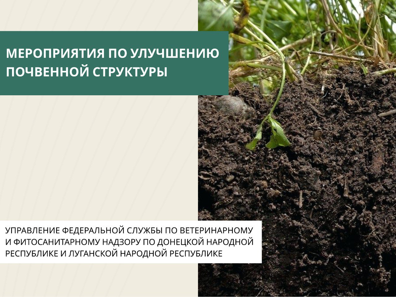 Существует множество приемов восстановления почвенной структуры