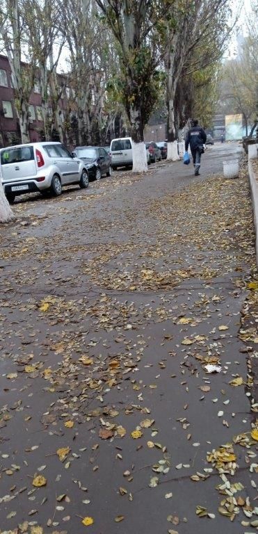 Благоустройства городского округа Енакиево Благоустройства городского округа Енакиево