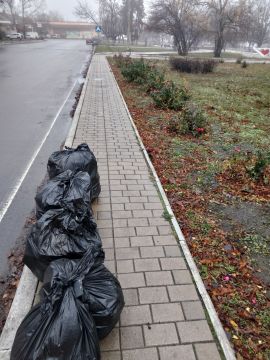 20 ноября в рамках партийного проекта «Чистая страна» на территории города Дебальцево состоялся экологический субботник по уборке территории Центральной площади города