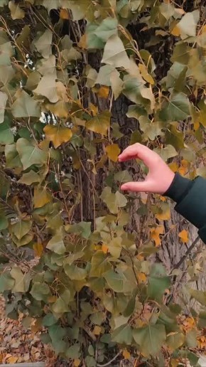 Мой энергосбыт призывает вовремя передать показания, с 20 по 25 ноября