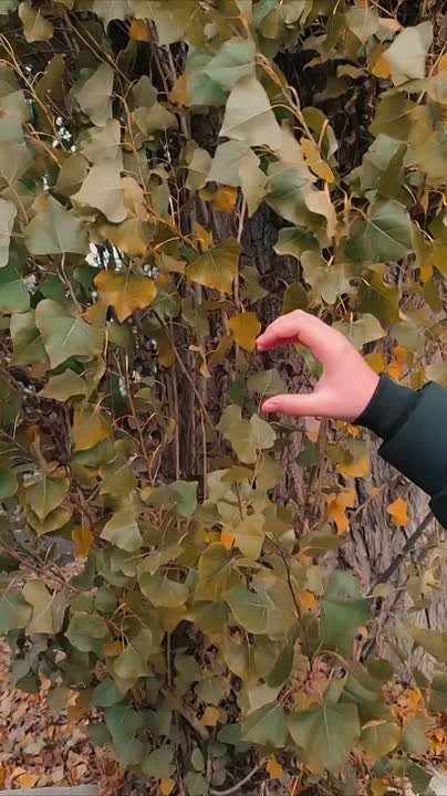 Мой энергосбыт призывает вовремя передать показания, с 20 по 25 ноября