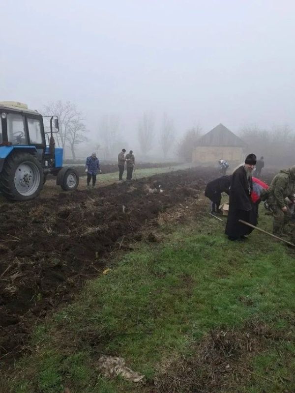 1 700 новых сосен: в Клёновке прошла масштабная экологическая акция 1 700 новых сосен: в Клёновке прошла масштабная экологическая акция