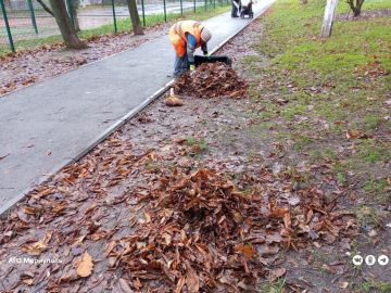 В Мариуполе коммунальщики продолжают осеннюю уборку придомовых территорий