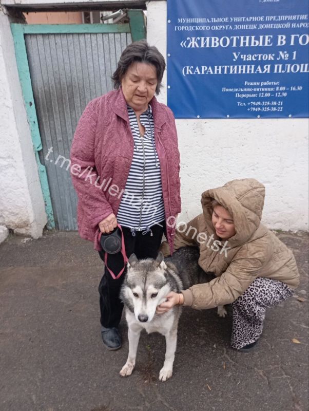 «Животные в городе» – это предприятие, которое помогает бездомным животным «Животные в городе» – это предприятие, которое помогает бездомным животным