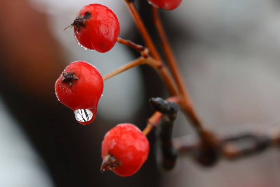 ������ ���� ������� ���������� ������� ��������!