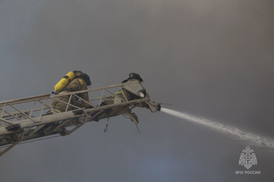 #������_���� �� �����. ������������� 8 �������