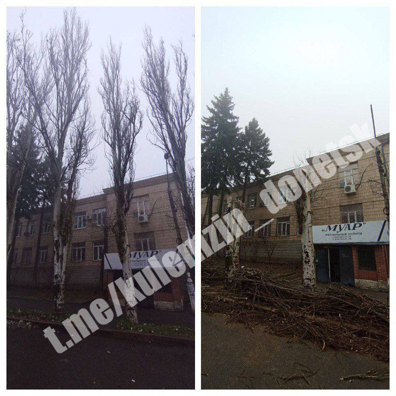 Алексей Кулемзин: Специалисты коммунального предприятия «Зелёное строительство» продолжают благоустройство во всех районах нашего города Алексей Кулемзин: Специалисты коммунального предприятия «Зелёное строительство» продолжают благоустройство во всех районах нашего города