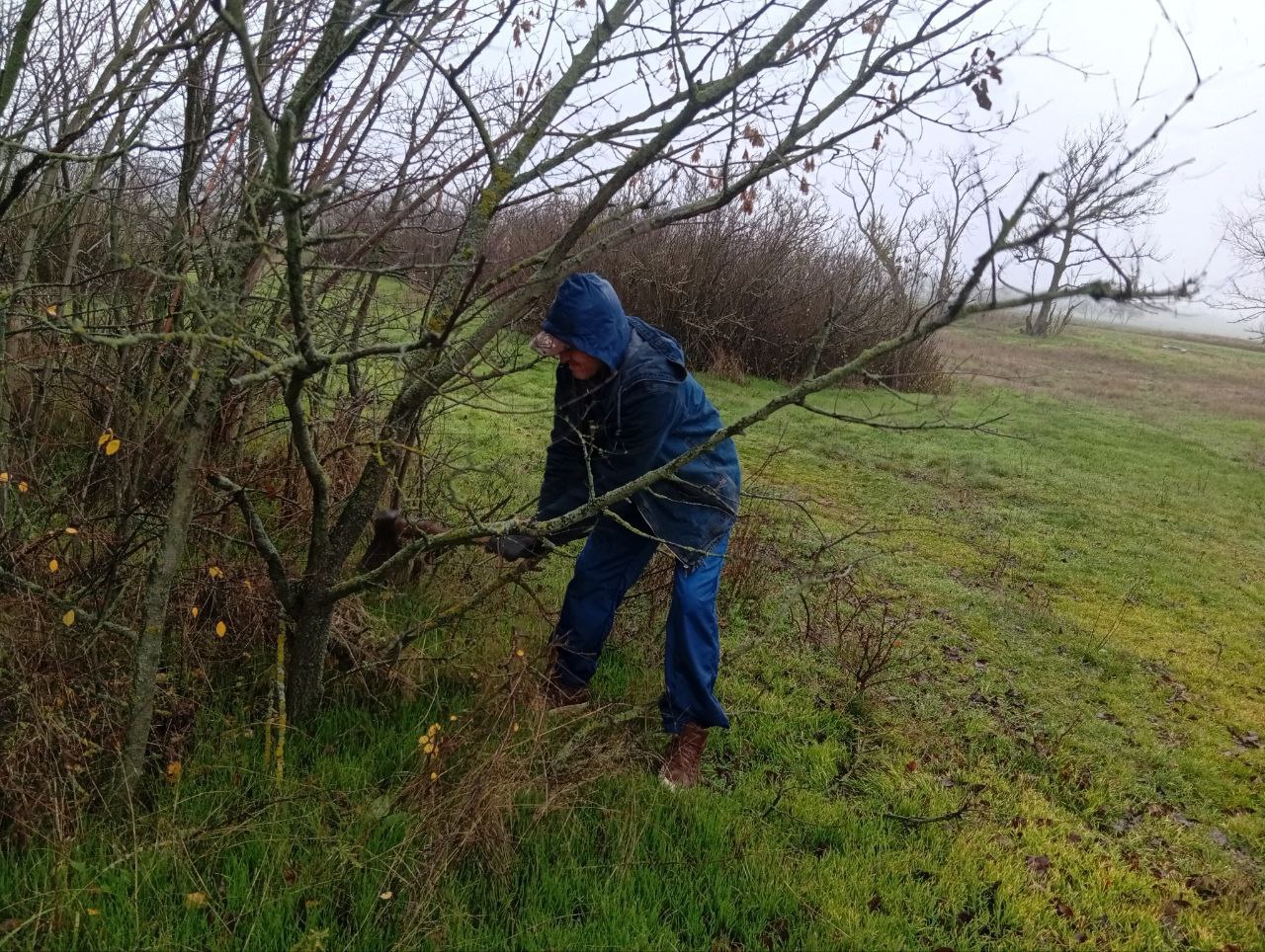 Итоги работы МУП "Восток-Комсервис" за период с 14.11.2025 по 20.11.2025. На территории Володарского муниципального округа были произведены следующие работы: Итоги работы МУП "Восток-Комсервис" за период с 14.11.2025 по 20.11.2025. На территории Володарского муниципального округа были произведены следующие работы: