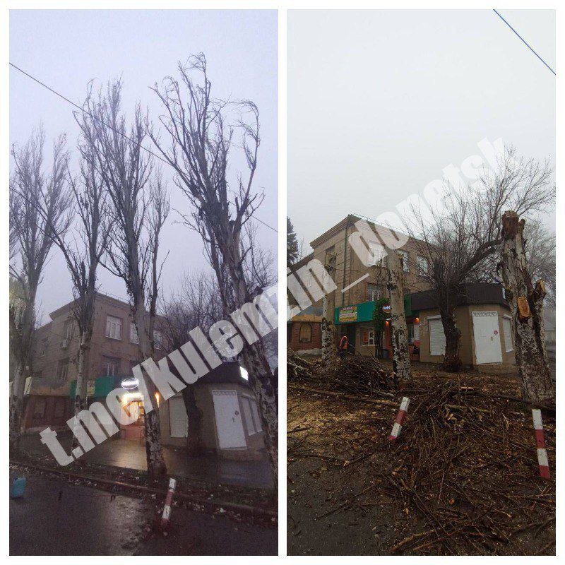 Алексей Кулемзин: Специалисты коммунального предприятия «Зелёное строительство» продолжают благоустройство во всех районах нашего города Алексей Кулемзин: Специалисты коммунального предприятия «Зелёное строительство» продолжают благоустройство во всех районах нашего города