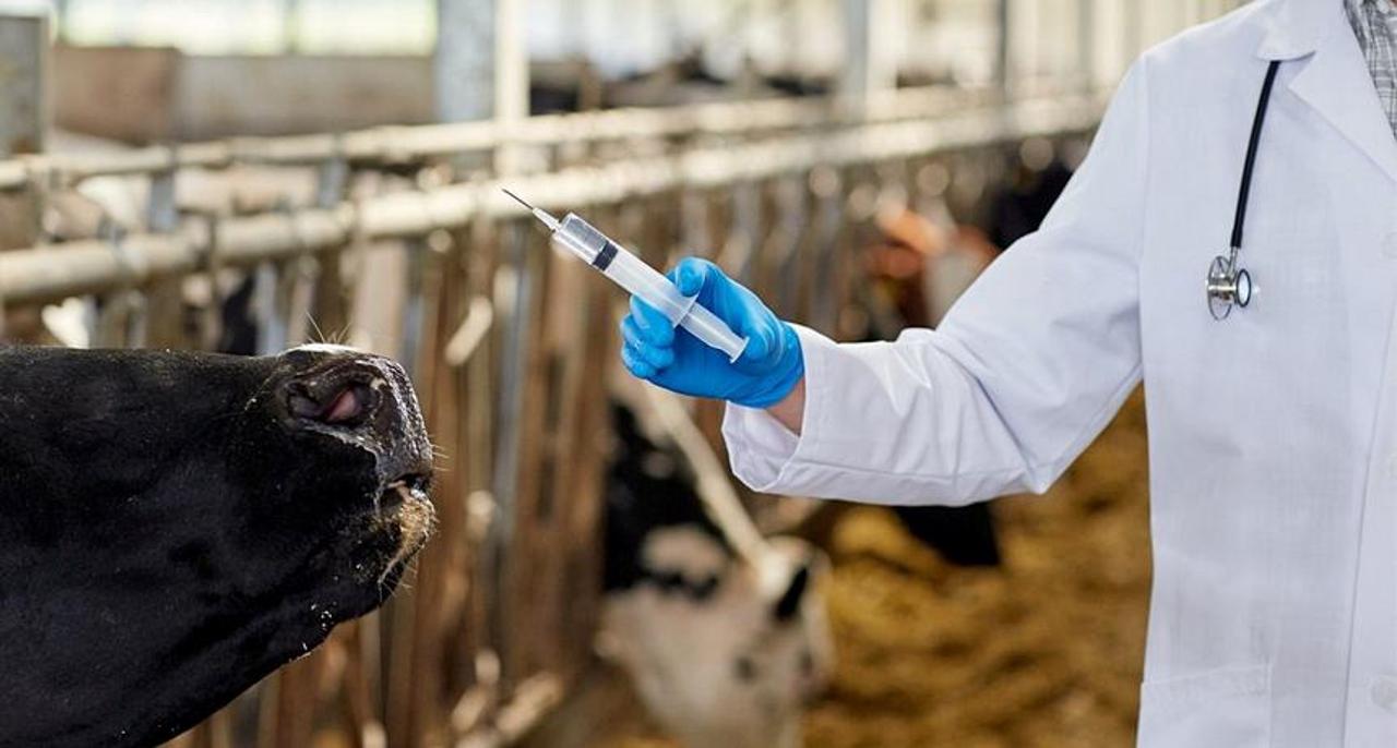 Управление Россельхознадзора по Донецкой Народной Республике и Луганской Народной Республике информирует, что при проведении контроля качества лекарственного средства для ветеринарного применения выявлено несоответствие...