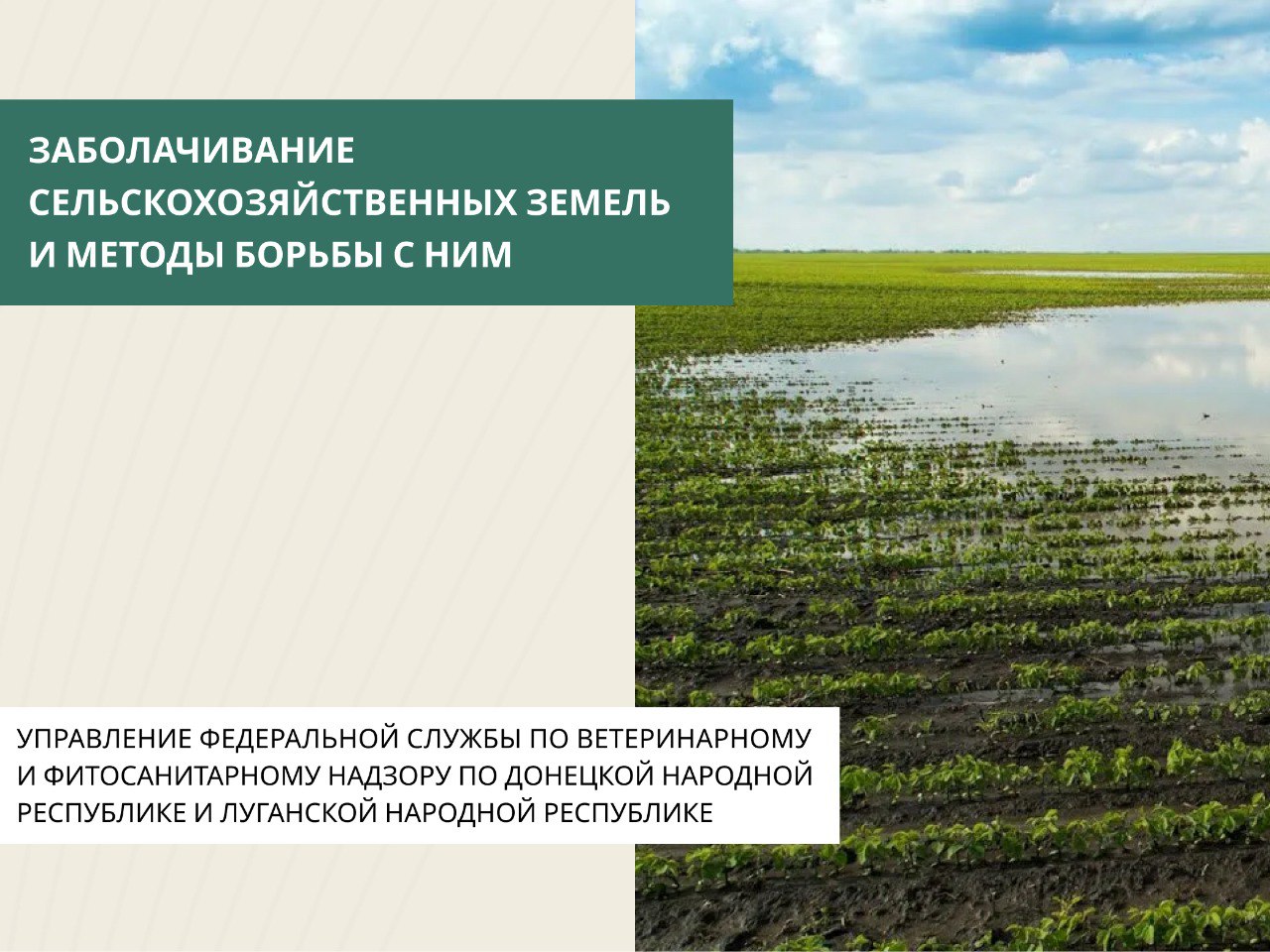 Осушение — устранение избытка воды с поверхности земли, почв и грунтов
