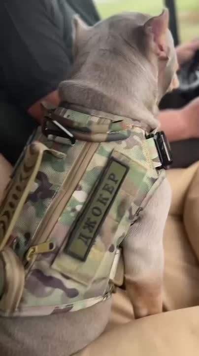 ������� ����������: �������, � ��� �� ��������� ��� � ��������?!