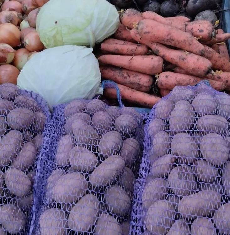 ������������ ������� � ������ ���������