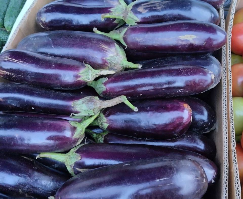 ������������ ������� � ������ ���������