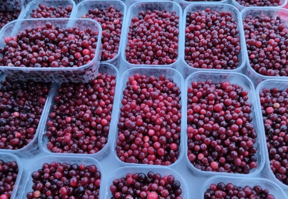 ������������ ������� � ������ ���������