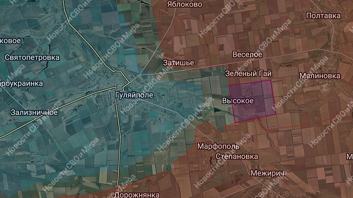 Поступают сообщения, что противник бежал и из Высокого