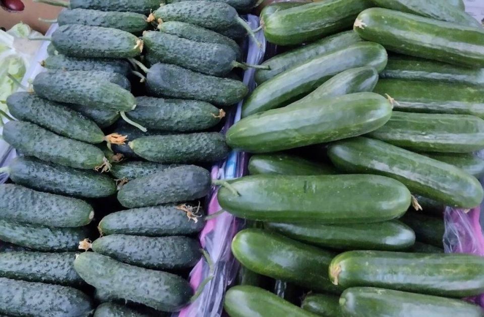 ������������ ������� � ������ ���������