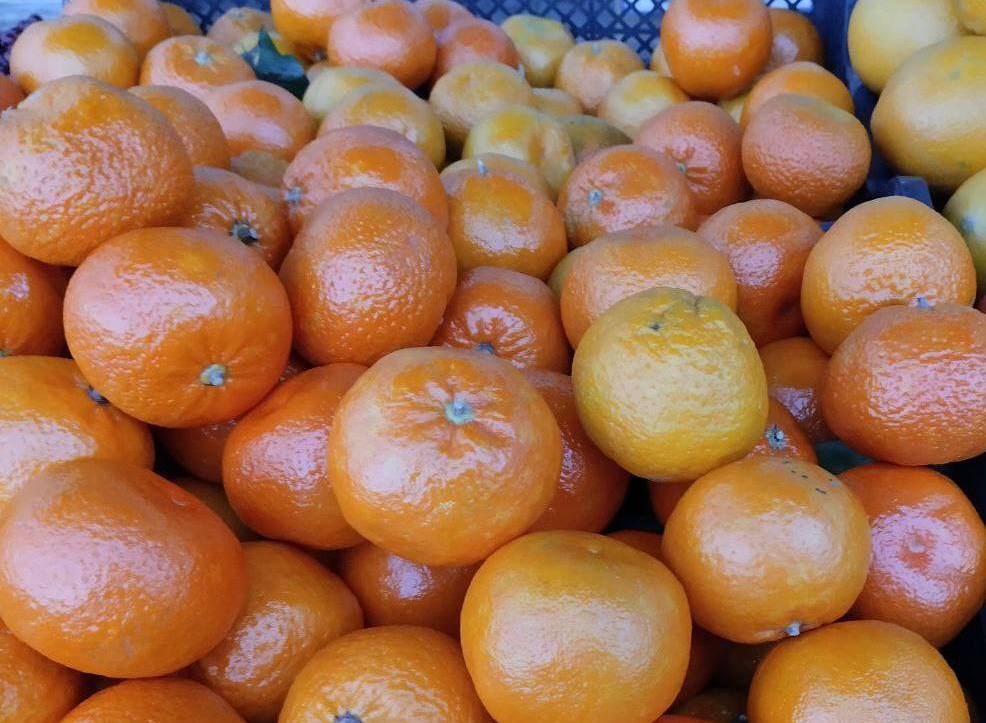 Еженедельная ярмарка в городе Мариуполь Еженедельная ярмарка в городе Мариуполь