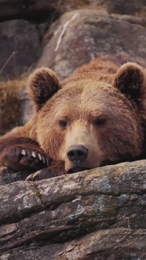 Спокойной ночи, Мариуполь!