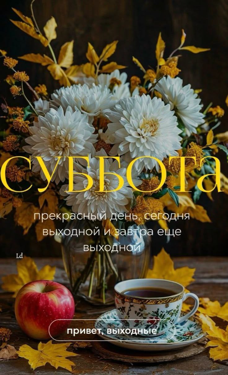 Пусть ваш выходной будет ярким и запоминающимся!