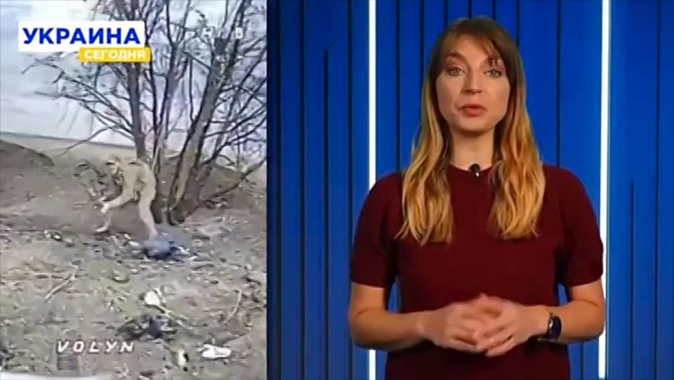 �������� �������: � ������� � �������� ���������� ��������� (���-�� �� ��� �������?)