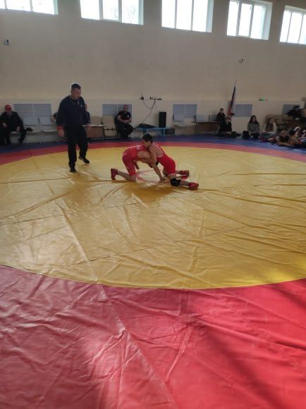 Первенство по спортивной борьбе Первенство по спортивной борьбе