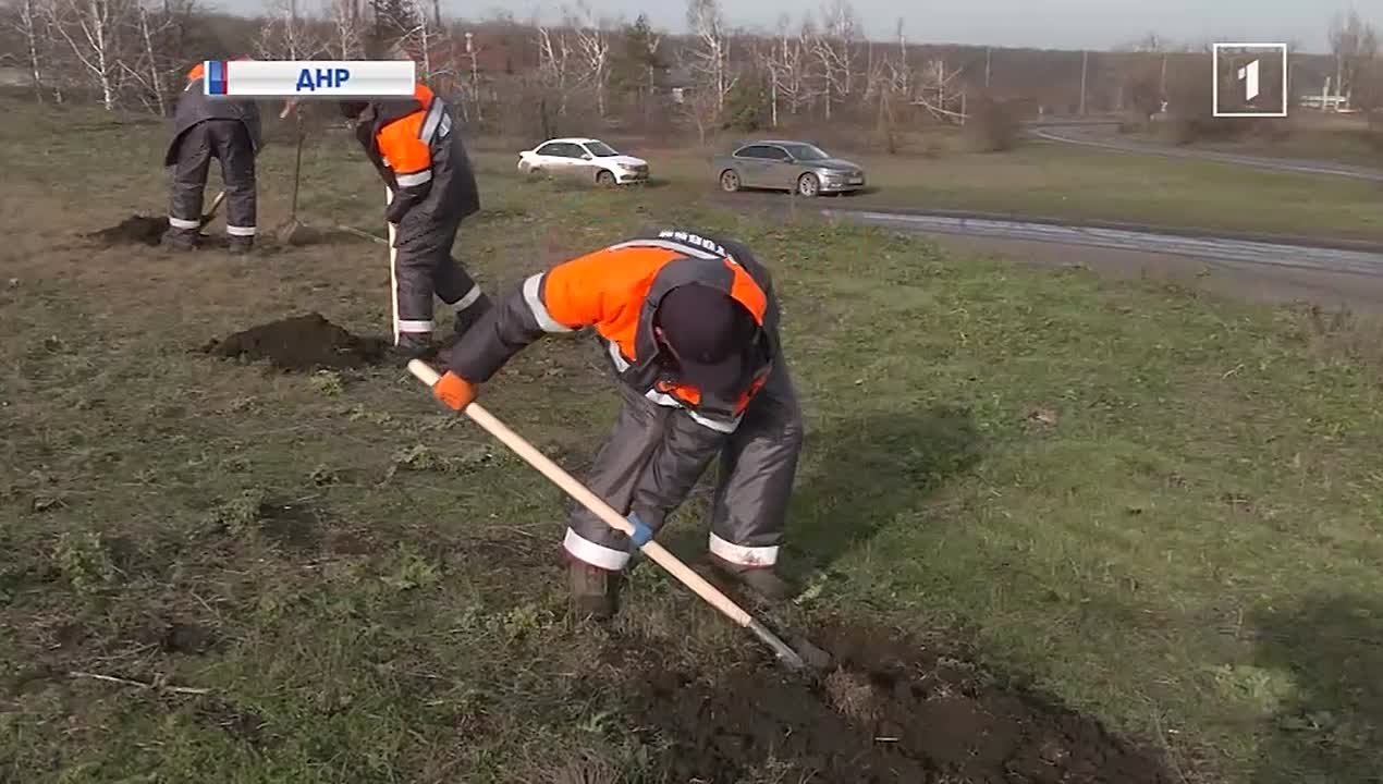 Зелёный щит: в Республике заложили первую лесополосу