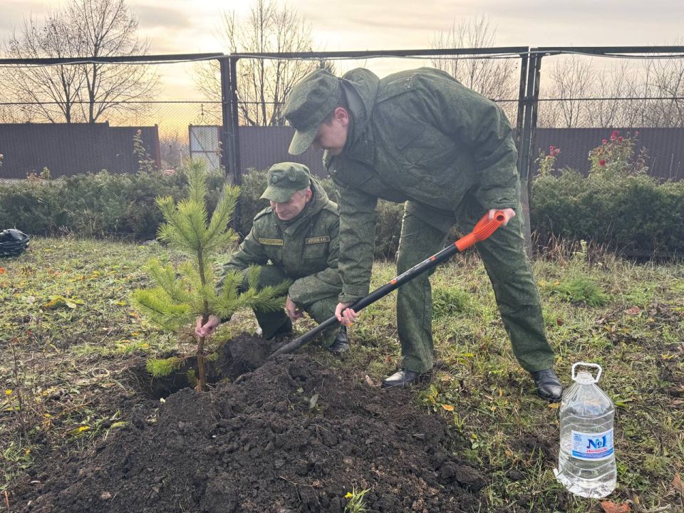 ���������� ������������� ������������� ���������� ������� ������� � �������� ����� ������