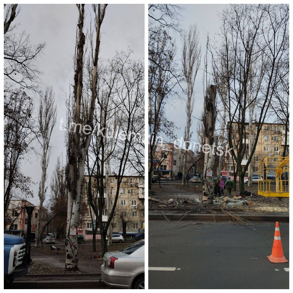 Алексей Кулемзин: Сотрудники коммунального предприятия «Зелёное строительство» продолжают усердно работать на благо нашего города Алексей Кулемзин: Сотрудники коммунального предприятия «Зелёное строительство» продолжают усердно работать на благо нашего города