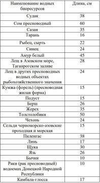  ()        1          1 