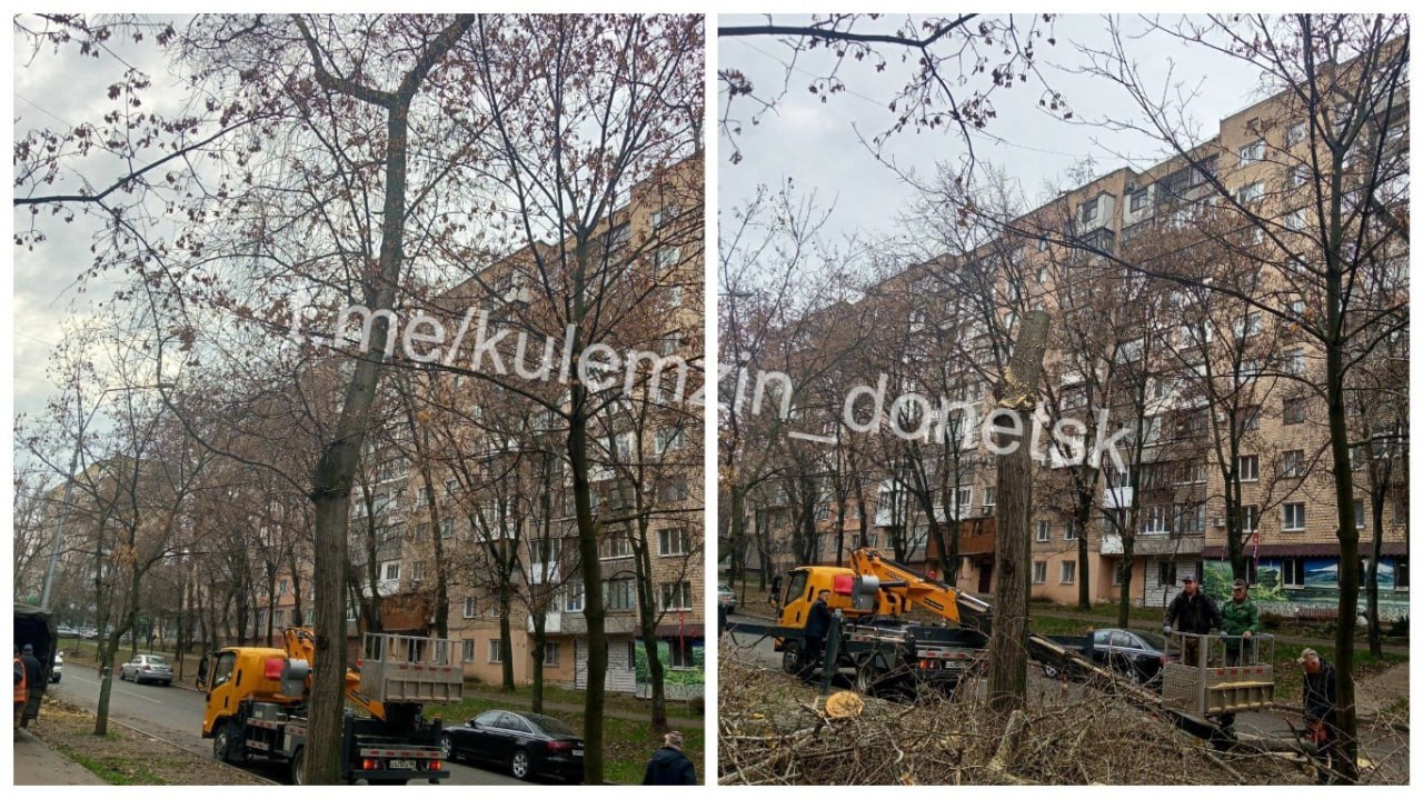 Алексей Кулемзин: Сотрудники коммунального предприятия «Зелёное строительство» продолжают усердно работать на благо нашего города Алексей Кулемзин: Сотрудники коммунального предприятия «Зелёное строительство» продолжают усердно работать на благо нашего города