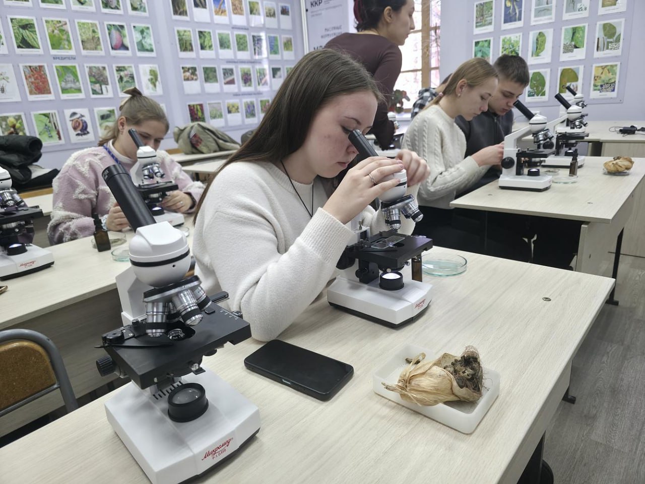 Амвросиевские студенты побывали на экскурсии в аграрном вузе Амурской области Амвросиевские студенты побывали на экскурсии в аграрном вузе Амурской области