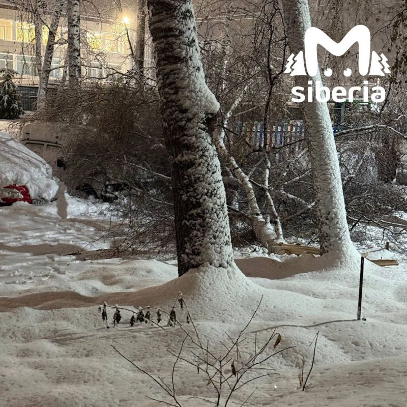 Новый квест от непогоды в Новосибирске — полоса препятствий с поваленными деревьями Новый квест от непогоды в Новосибирске — полоса препятствий с поваленными деревьями