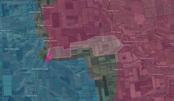 Запорожская область. Наши бойцы зашли в Доброполье