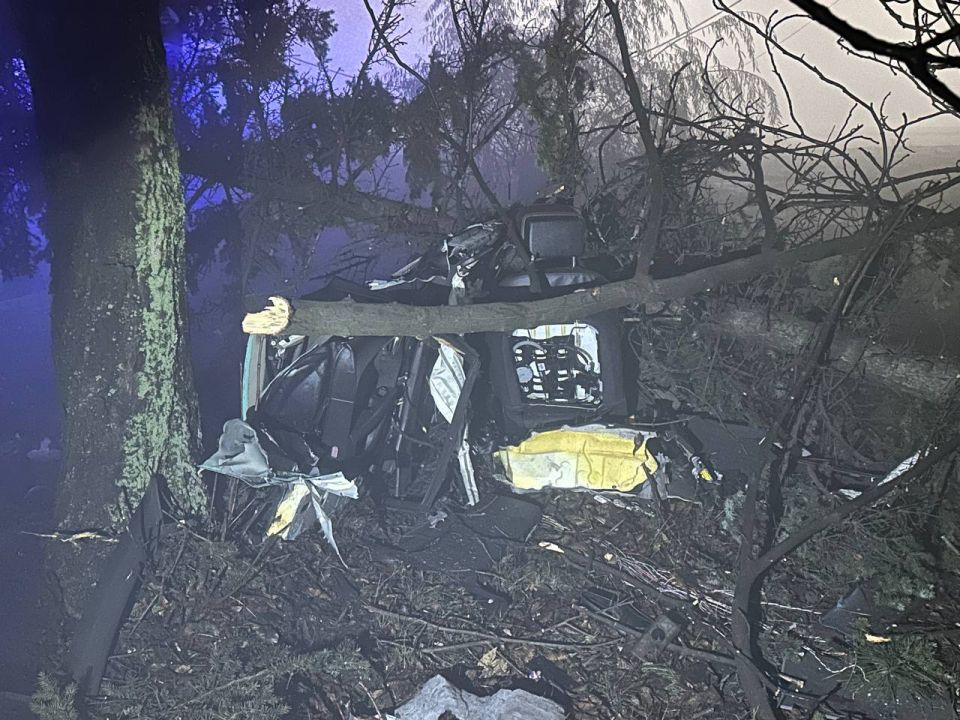 ����������� ������������� �������������� ������������ ��� � ��������