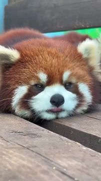 Спокойной ночи, Мариуполь!